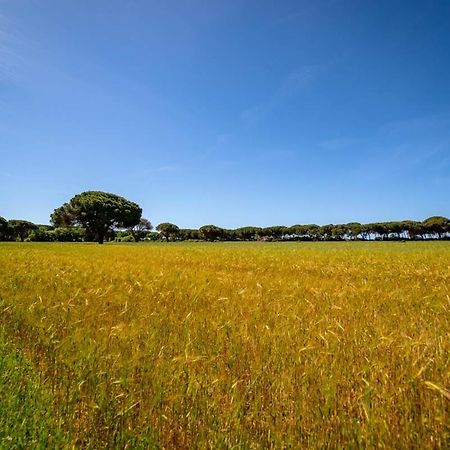 Agriturismo Bio Femminella Principina a Mare Ngoại thất bức ảnh