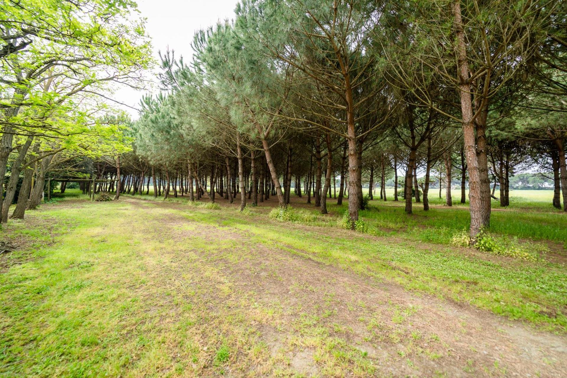 Agriturismo Bio Femminella Principina a Mare Ngoại thất bức ảnh