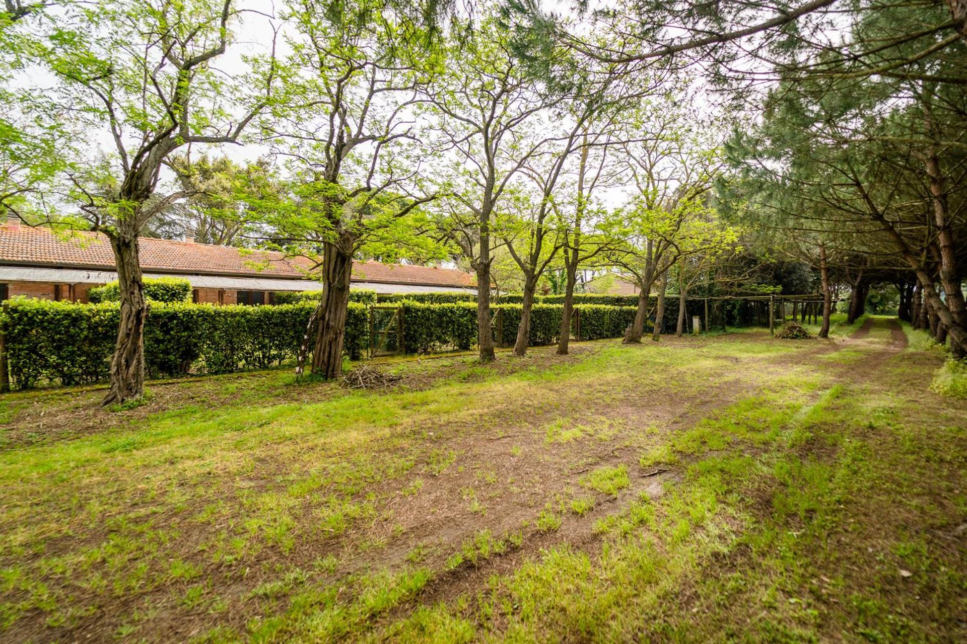Agriturismo Bio Femminella Principina a Mare Ngoại thất bức ảnh